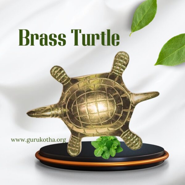 Brass Turtle