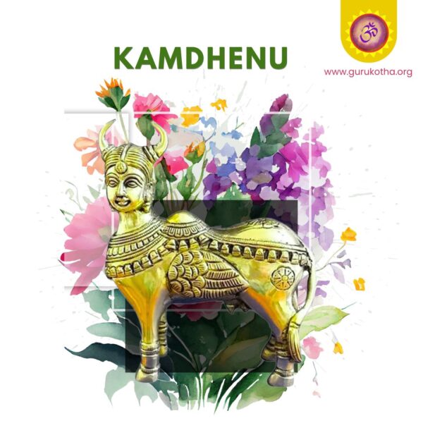 Kamdhenu Gai