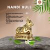 Nandi Bull - Image 3
