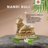 Nandi Bull - Image 2