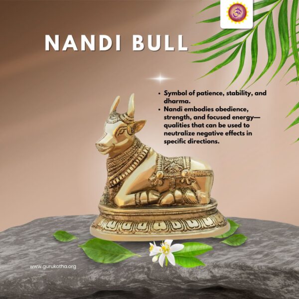 Nandi Bull